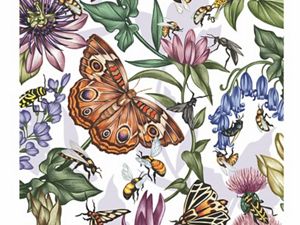 A color illustration of pollinators and plants