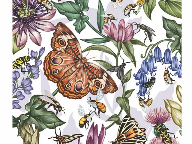 Creating a Pollinator Garden Paradise