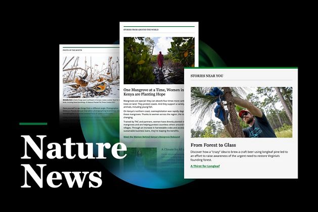 Three screen grabs of TNC Nature News emails arranged on a black background with the words Nature News in the lower left corner.