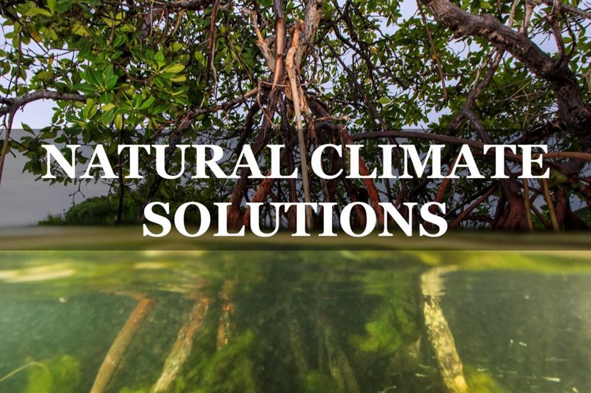 Natural climate solutions