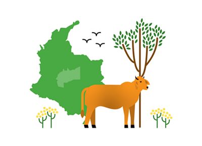 illustration with outline of Colombia, cow, and tree