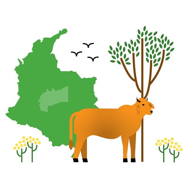 illustration with outline of Colombia, cow, and tree