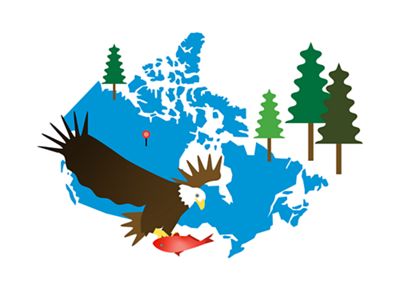 Illustration with outline of Canada, eagle, fish & tree