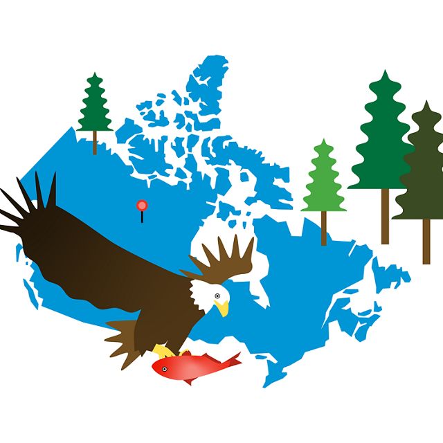 Illustration with outline of Canada, eagle, fish & tree