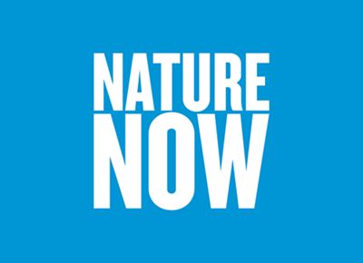 bright blue background with bold white text that reads 'nature now'