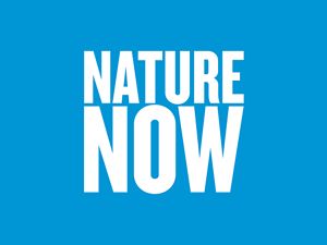 a blue graphic with bold white text that reads Nature Now