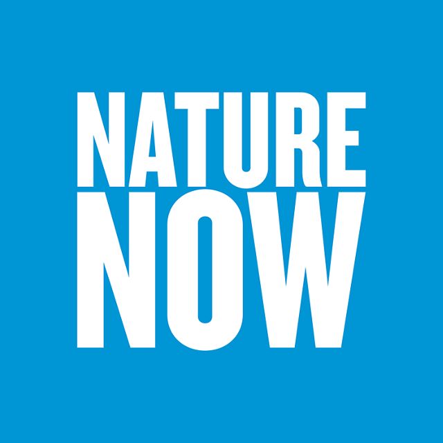 bright blue background with bold white text that reads 'nature now'