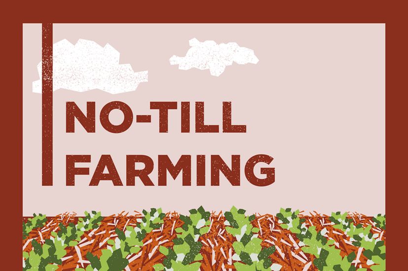 Reduced tillage (no-till and low-till farming) can cut Minnesota's CO2 emissions by up to 6 million metric tons if implemented at scale across 5.6 million Minnesota acres.