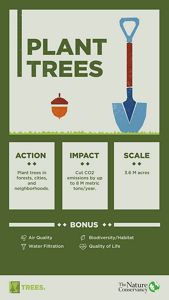 Planting trees in our forests, cities and neighborhoods could cut CO2 emissions by up to 8 million metric tons per year if implemented at scale across 3.6 million acres in Minnesota.