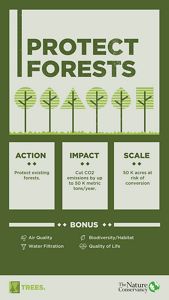 Minnesotans could protect up to 50,000 acres of existing forests and, in doing so, store up to 50,000 metric tons of CO2 per year.
