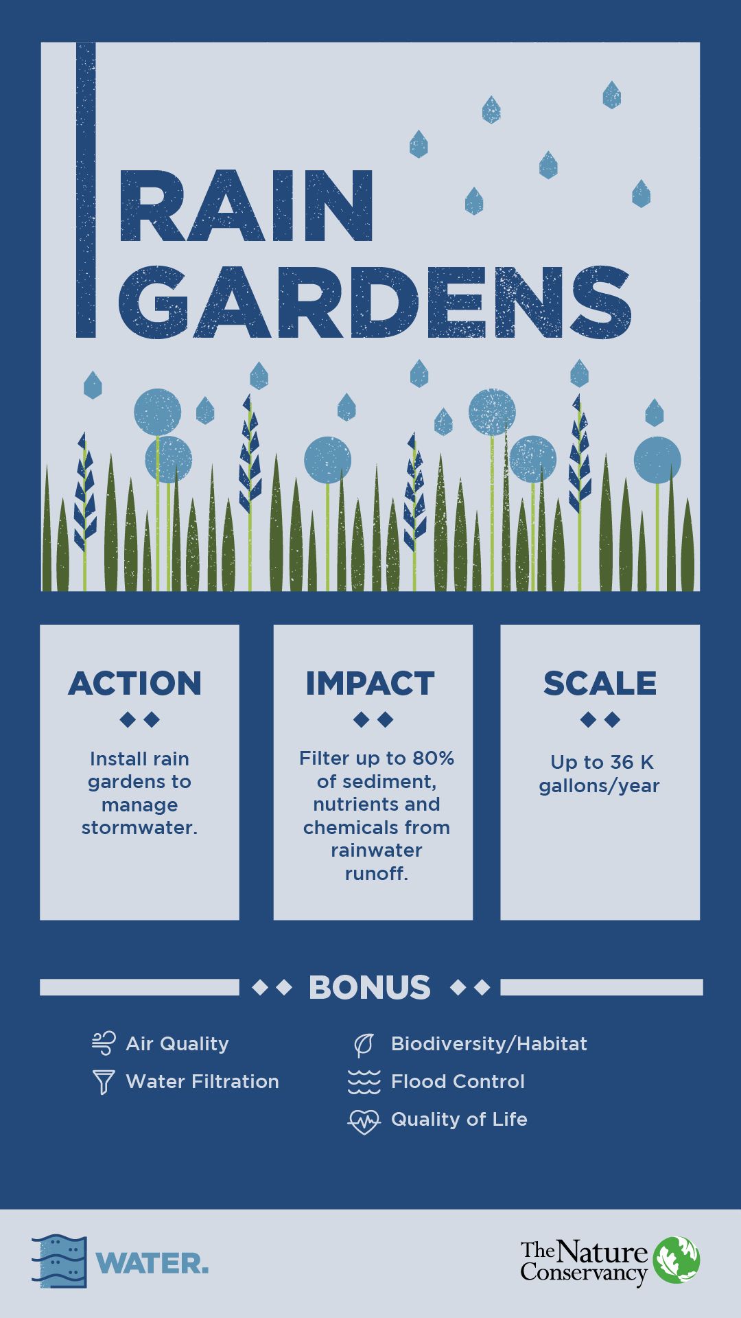 Rain gardens, which are installed/planted to manage stormwater, can filter up to 80% of pollution from rainwater runoff with the average garden filtering up to 36,000 gallons of water per year.