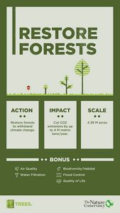  Restoring and improving the way we manage forests could help us withstand and adapt to climate change if implemented at scale across 4.39 million acres in Minnesota. 