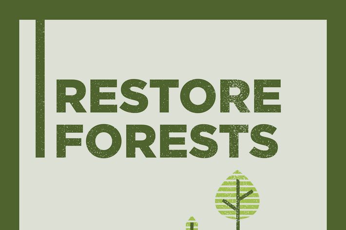 Restoring and improving the way we manage forests could help us withstand and adapt to climate change if implemented at scale across 4.39 million acres in Minnesota.
