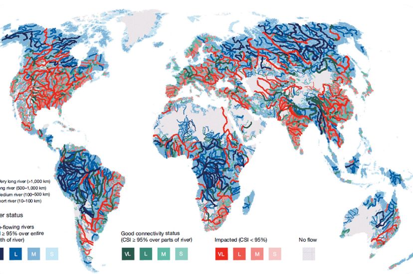 Map detailing river flow across the world.