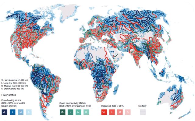 Map detailing river flow across the world.
