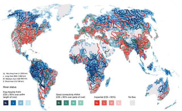 Map showing the stat of free-flowing rivers globally. 