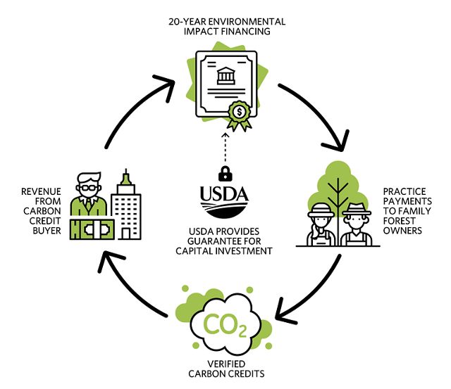Graphic showing how the Family Forest Carbon Program helps family forest owners engage in the carbon market
