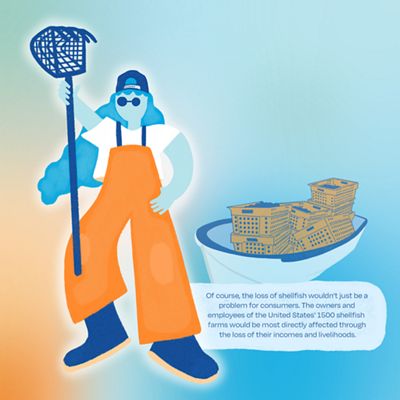 A drawing of an oyster farmer wearing orange waders standing in front of a boat full of oysters.