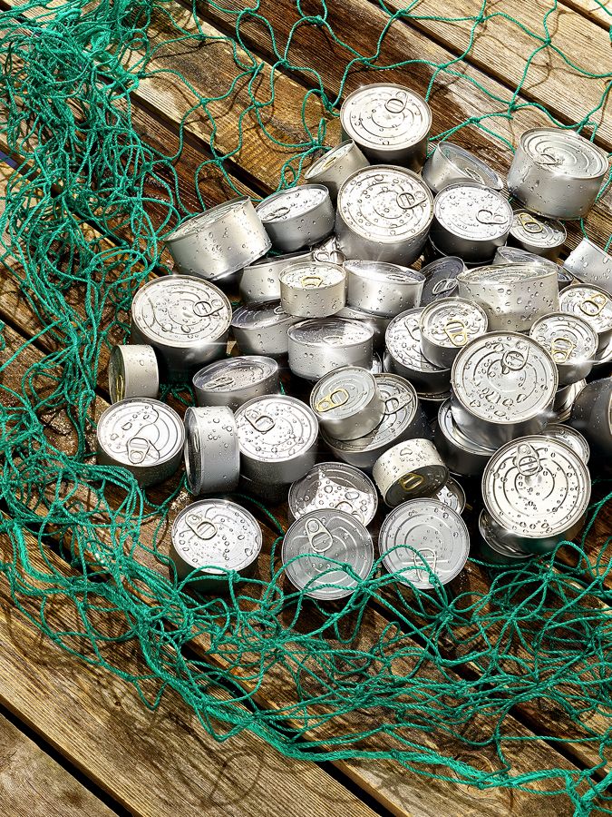Tuna cans are 'caught' in a green net.