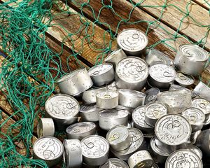 Tuna cans are "caught" in a green net.