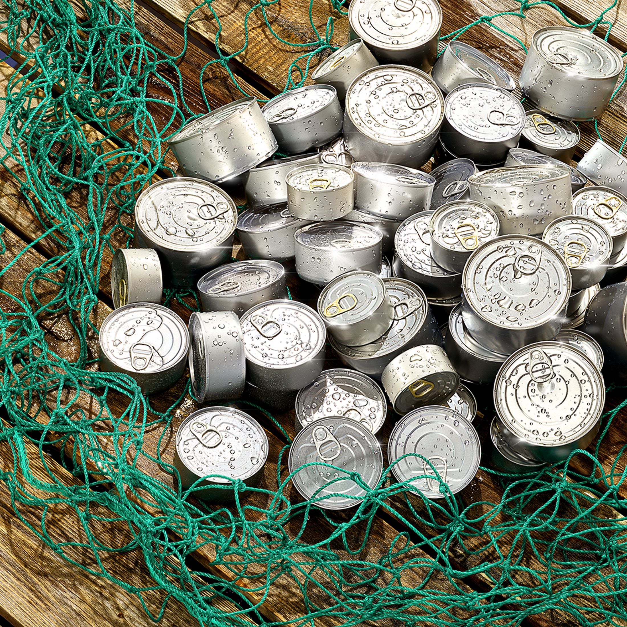 Tuna cans are "caught" in a green net.