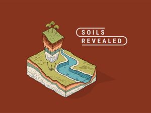 A logomark that says 'soils revealed' with an illustration of a soil cross section