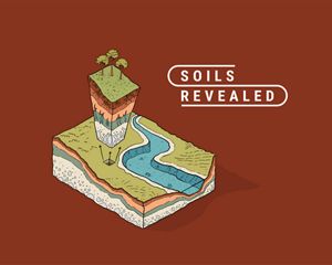 Soils Revealed: an illustration of a crosscut of soil layers.