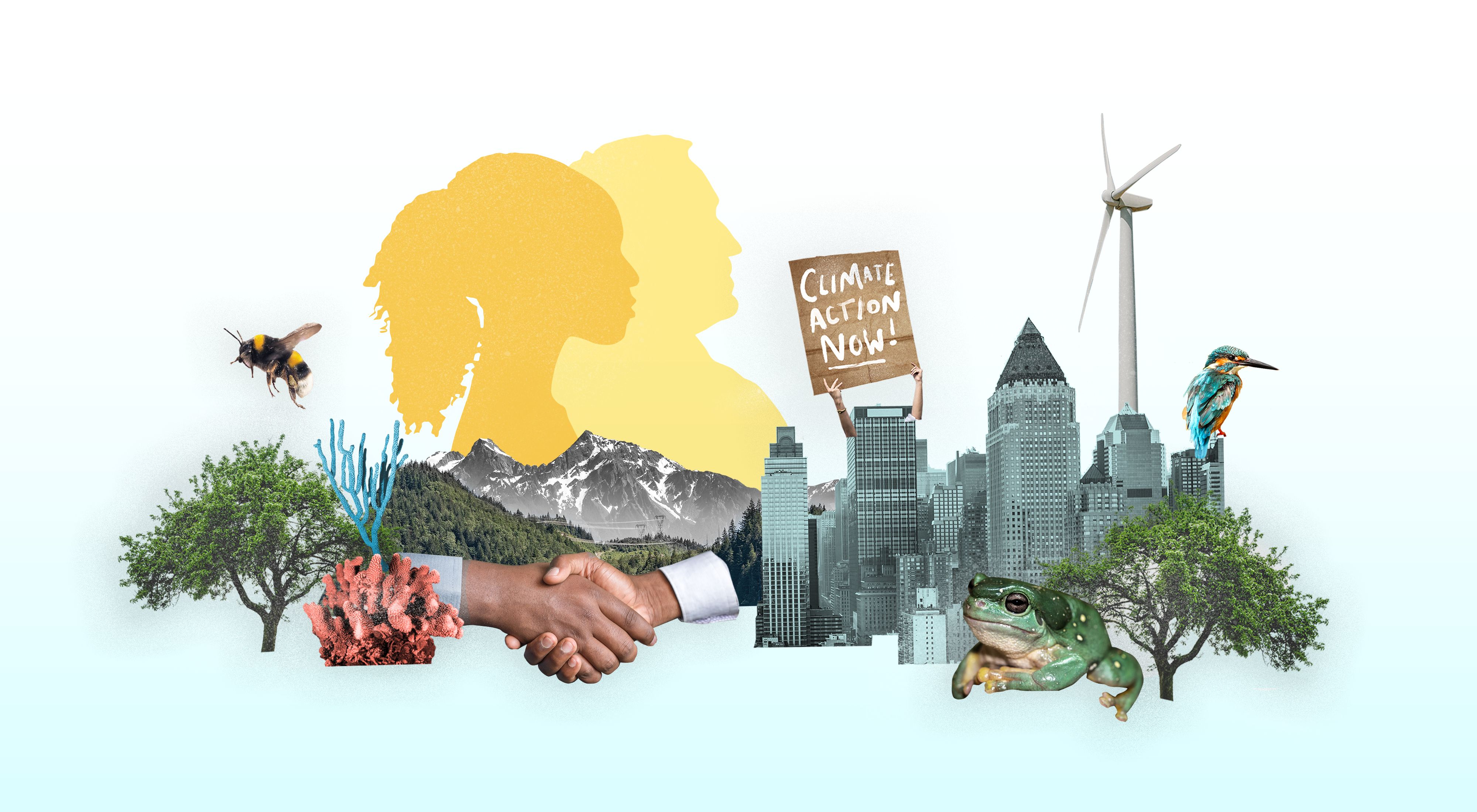 Graphic showing shaking hands, a city skyline, trees, mountains, a windmill, a frog, a bird, and a sign that reads, Climate Action Now.