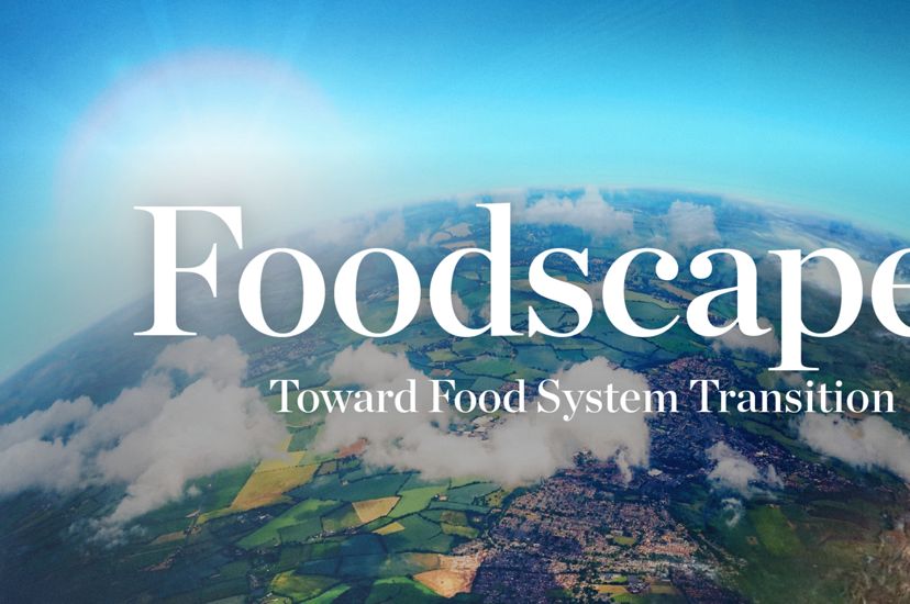 Photo of cover of Foodscapes Report