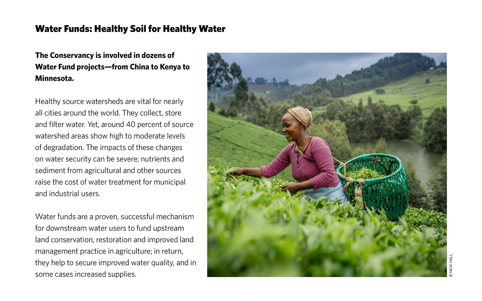 
                
                  Water Funds Healthy Soil for Healthy Water
                  
                
              