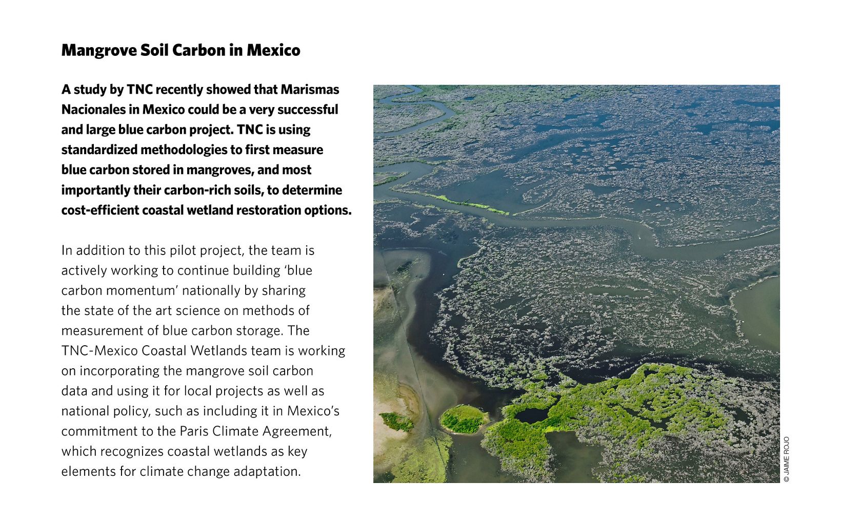 Mangrove Soil Carbon in Mexico Marismas Nacionales could be a very successful blue carbon project 