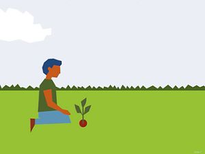Illustration of a person planting a tree.