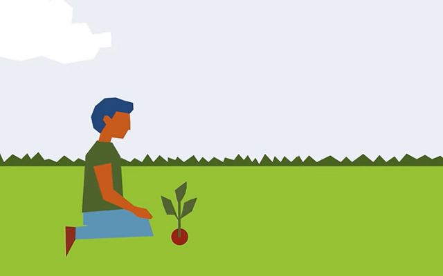 Illustration of a person planting a tree.