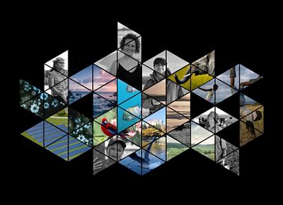Photos of people, animals, and nature in hexagon tiles.