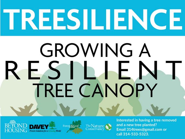Graphic illustration of trees with the words Treesilience Growing a Resilient Tree Canopy on it.
