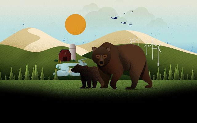 An illustration of two bears with wind turbines and forests in the background. 