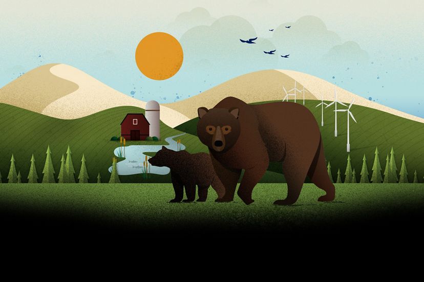 An illustration of two bears with wind turbines and forests in the background. 