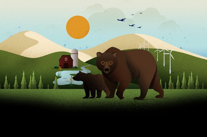 An illustration of two bears with wind turbines and forests in the background.
