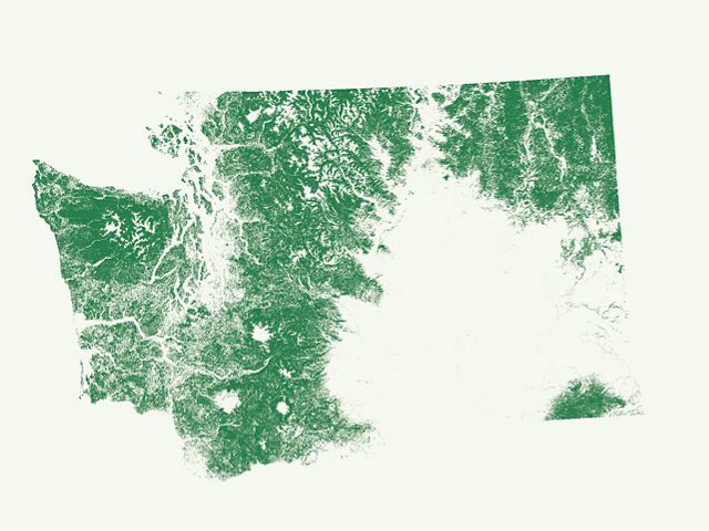 Half of Washington’s land mass is covered in forest.