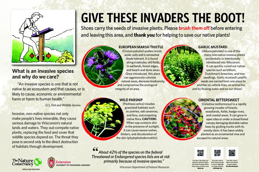 Graphic showing why you should use a boot brush to rid your boots of invasive species. 