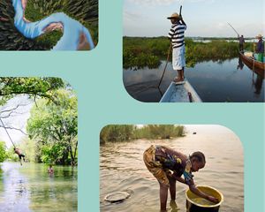 a collage of freshwater images against a teal background