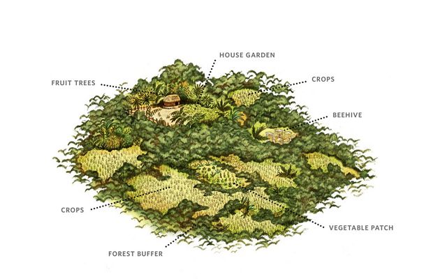 A color illustration shows a farm with areas for multiple crops and even beehives