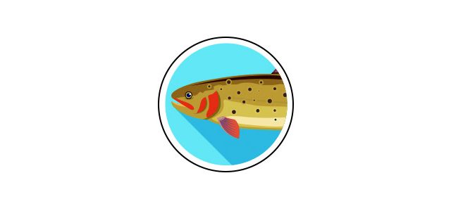 an illustration of a fish.