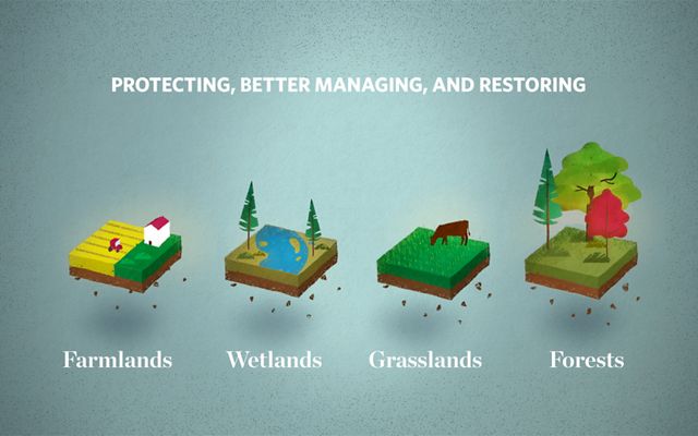 Protecting, better managing, and restoring farmlands, wetlands, grasslands, and forests.
