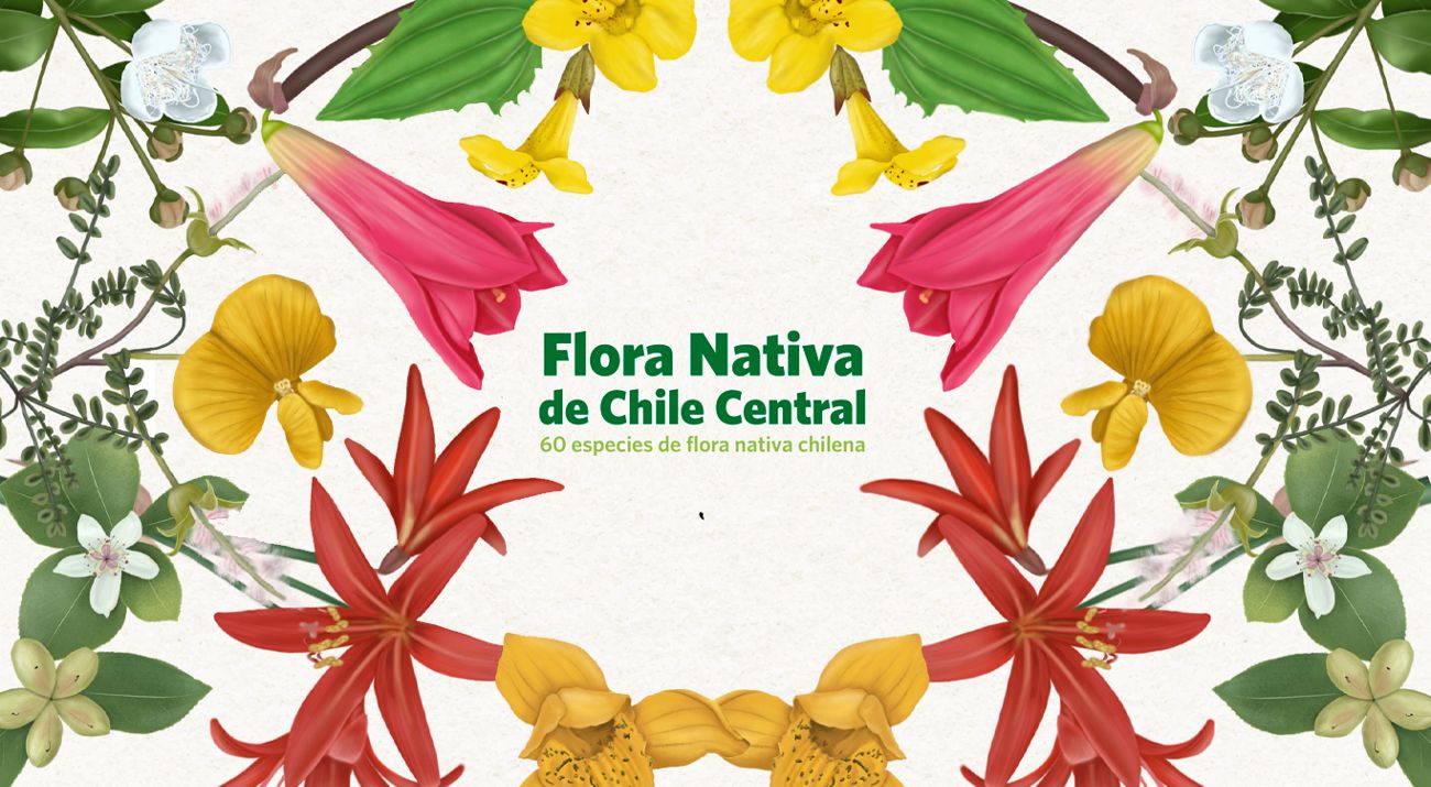 portada guía flora nativa chilena