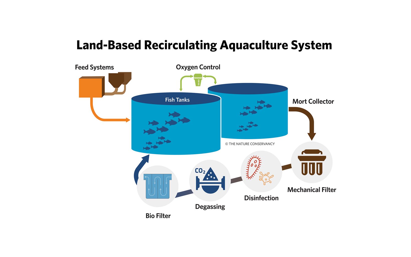 
                
                  2. On-Land Finfish Recirculating Aquaculture System (RAS) Land-based RAS may offer an alternative to traditional, near-shore finfish production that may enable improved environmental outcomes, higher production density, reduced mortality, and greater control over production outcomes.
                  © The Nature Conservancy
                
              
