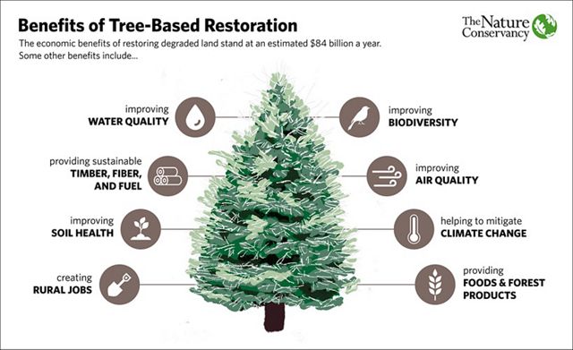 The economic benefits of restoring forests are an estimated $84 billion. Other benefits include air quality, food, biodiversity, soil health, jobs, timber, fuel and climate change mitigation.  