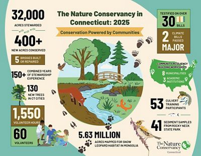 A colorful infographic titled The Nature Conservancy in Connecticut: 2025. It highlights 32,000 acres stewarded, 1,550 volunteer hours and mapping 5.63 million acres for snow leopard research.