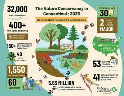 A colorful infographic titled The Nature Conservancy in Connecticut: 2025. It highlights 32,000 acres stewarded, 1,550 volunteer hours and mapping 5.63 million acres for snow leopard research.
