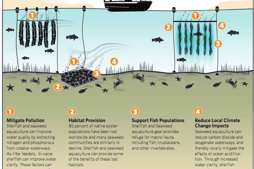 Ecosystems Benefits of Aquaculture Infographic